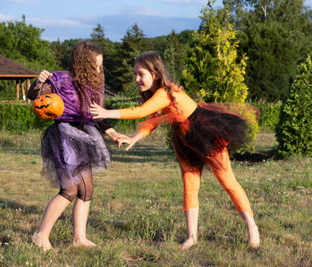 girls dressed as witches. one takes Jack-o-lanterns full of candy from the other.の写真素材