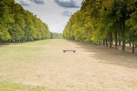 bench is in the alley between the trees.の写真素材