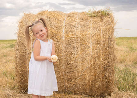 girl in white dress hold fluffy baby chick.の写真素材