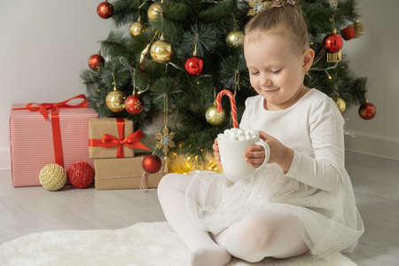cute little girl holds a cup of hot chocolate or cocoa with a marshmallow near Christmas tree.の写真素材