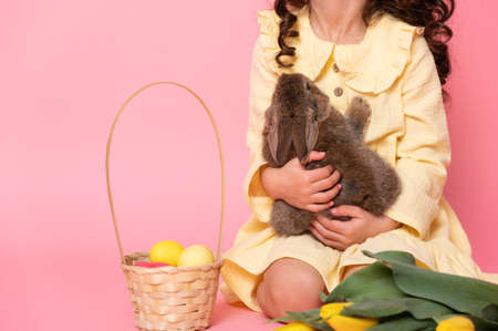 close up child girl holding rabbit, tulips, basket with colorful eggs on pink background.
