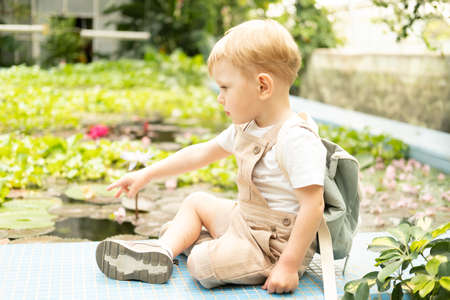 little boy sitting on pool with water lily in greenhouse on a guided tour.の写真素材