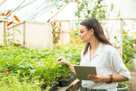 attractive business women gardener in glasses using tablet. Modern technology in gardening businessの写真素材