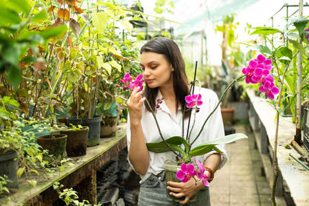 young attractive business women in white blouse holding pink orchid in greenhouseの写真素材