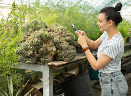 attractive young women gardener in casual outfit doing photo of big cactus on phone for blog.の写真素材