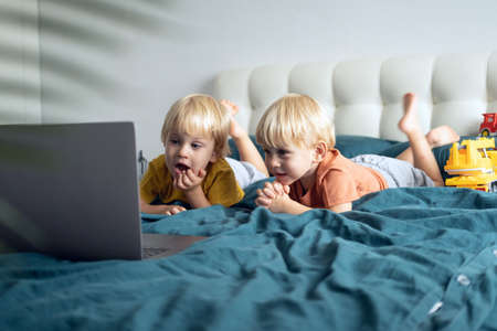 cute little caucasian kids boys twins using laptop in bed at home. Kids using technology.の写真素材