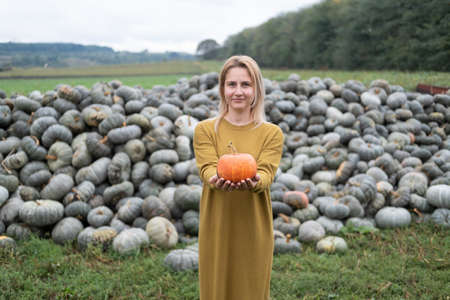 Beautiful young woman in mustard dress with orange pumpkin outdoor on patch. Thanksgiving or halloween.の写真素材