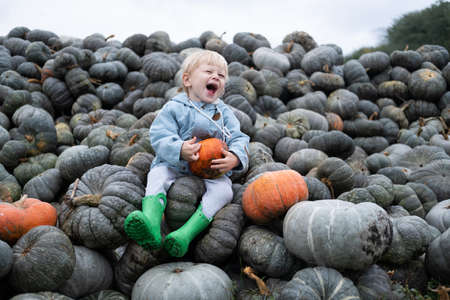 cute smiling caucasian kid boy sitting on bunch of pumpkins. fall season, pumpkin harvest.の写真素材