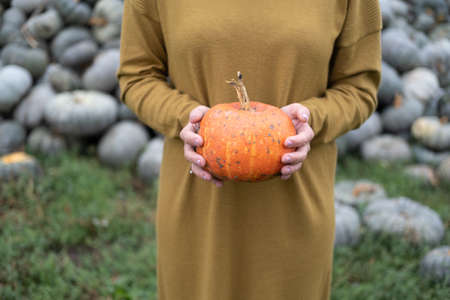 close up of women hands holding orange pumpkin in nature. Halloween or Thanksgiving concept.