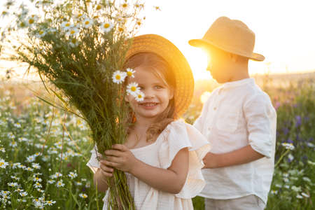 happy child boy and girl in straw hats holds bouquet of field chamomile on sunset summerの写真素材