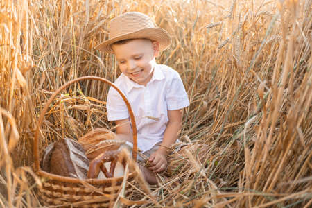 child boy in straw hat with basket of bread sitting in wheat field. eco friendly farm productsの写真素材