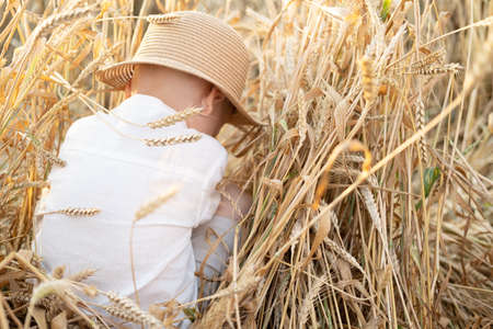 rear view upset child boy in straw hat sitting in wheat field on summer