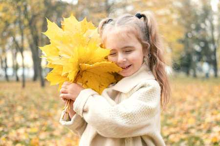 smiling happy little child girl in coat and dress holding autumn leaves, having fun in fall forestの写真素材