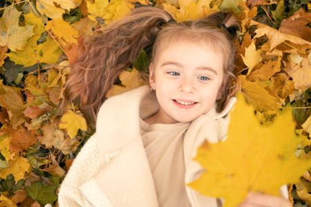 portrait smiling happy little girl lying on grass in nature in autumn with yellow maple leavesの写真素材
