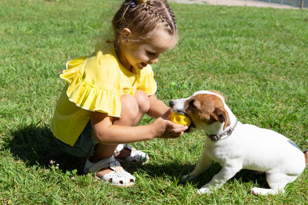 Little girl playing with her pet dog Jack Russell Terrier in park
