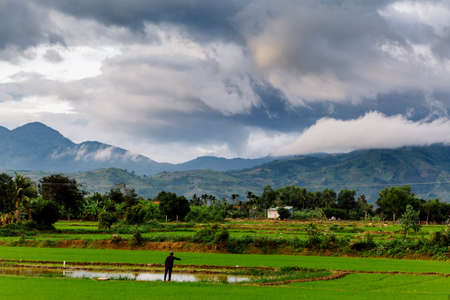 picturesque landscape rice field and lake with fisherman in vietnam and mountaine viewの写真素材