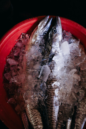 Raw fish assorted sliced and cut at street local market in Asia, Vietnamの写真素材