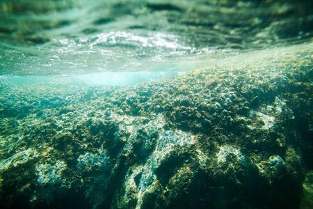 underwater sea bubbles background with sea bottomの写真素材
