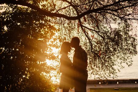 lovely couple relax in park together with sunlight silhouetteの写真素材