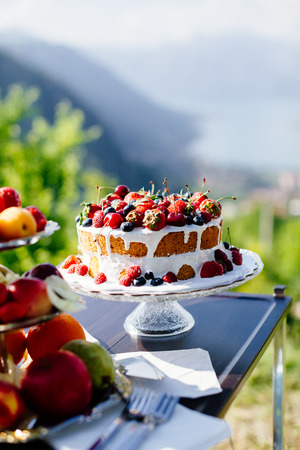 fancy fruit cake. Top view. Delicious fruit plate outdoors. Fine art styleの写真素材