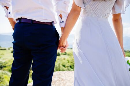bride and groom holding hands together. Back view. Fine art styleの写真素材