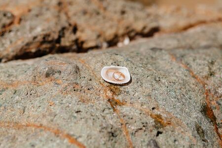 wedding rings on beach. Macro shot of rings in seashellの写真素材