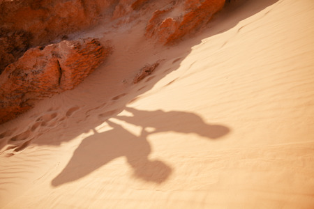 couple travel sand dune. Sand  and shadows viewの写真素材