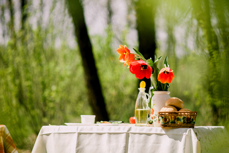 healthy eating picnic with vegetables outdoors. Vegetarian picnic in forest.の写真素材