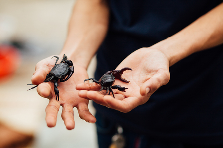 man with crabs.  close up shotの写真素材