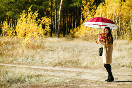 woman walk in autumn forest with umbrellaの写真素材