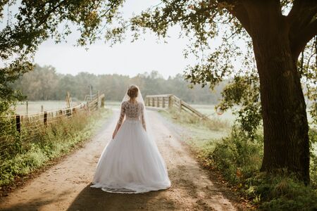 Bride in beautiful dress back view. Elegant brideの写真素材