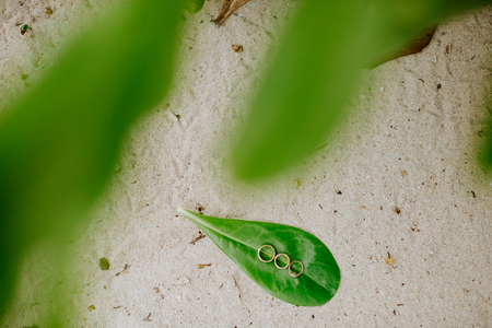 engagement and wedding ring on beach  sandの写真素材