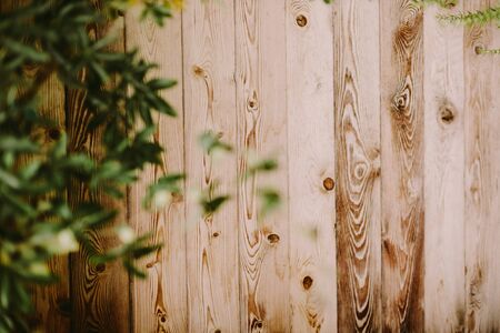 wooden background leaves. rustic and organic background.の写真素材