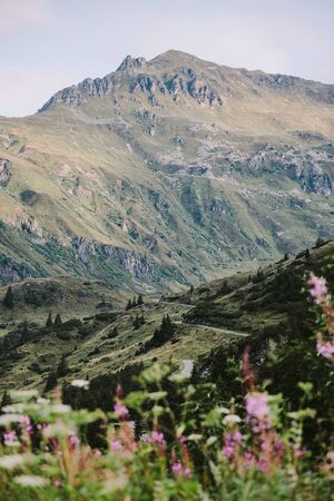 highway road in mountains. Epic mountain view and road way in Austriaの写真素材