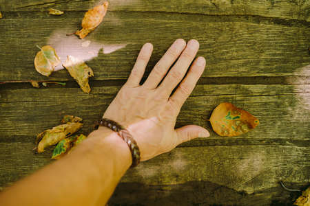 autumn leaves on wooden backgroundの写真素材