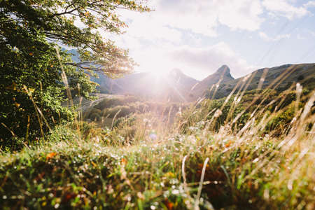 beautiful autumn forest scenery with mountainsの写真素材
