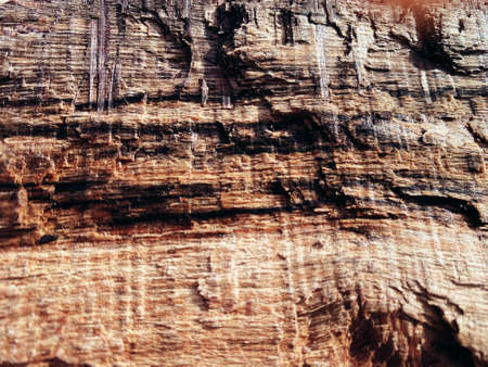 abstract wood texture vintage backgroundの写真素材