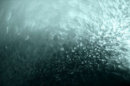 tidewater green bokeh background