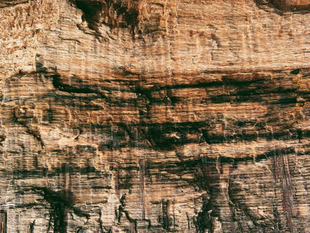 abstract wood texture vintage backgroundの写真素材