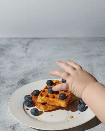 Belgian waffles with blueberriesの写真素材