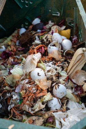 A close-up view looking down into a compost bin filled with eggshells, onion peels, and vegetable...