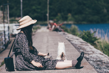 Sitting Straw Hat Woman and Stray Catの写真素材