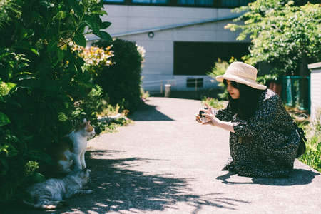 A woman in a straw hat taking a picture of a catの写真素材