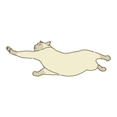 Cute and simple full body illustration of catのイラスト素材