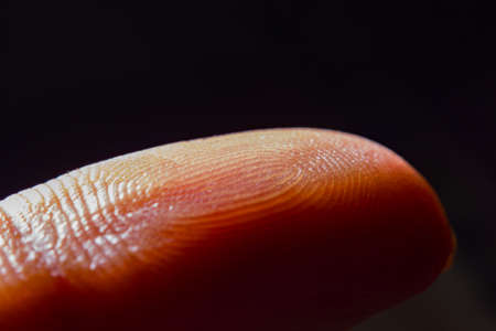 macro closeup view of finger printの写真素材