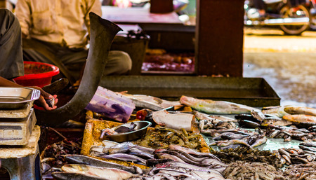 Hilsa rohu katla lobster prawn and various types of fishes displayed in indian fish market at Kolkata.の写真素材