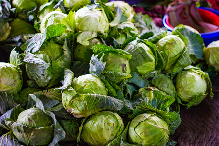 heap of green cabbage in retail vegetable super market for saleの写真素材