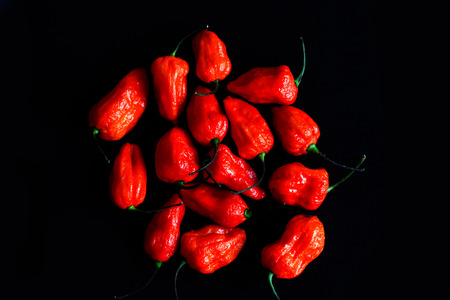 Bunch of Red Bhoot Jolokia Spicy ghost pepper isolated in black background with space for text
