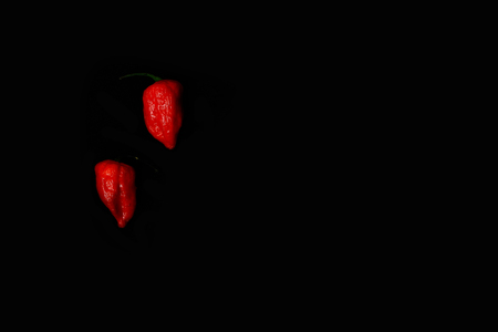Two Red Bhoot Jolokia Spicy ghost pepper isolated in black background with space for textの写真素材