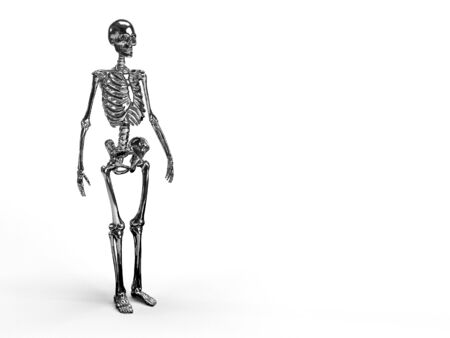 3d render of a full body shiny reflective metallic skeleton in white background with space for text.